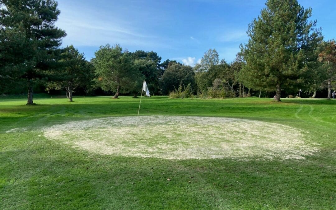 découvrez toutes les informations pratiques sur le golf de guérande : horaires, tarifs, équipements, conseils pour les joueurs et bien plus encore pour profiter pleinement de votre expérience golfique.