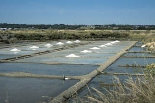 découvrez les marais salants de guérande, un écosystème unique où la tradition et la nature se rencontrent. plongez dans l'univers fascinant de la récolte du sel et explorez les paysages pittoresques de cette région emblématique de la bretagne. une expérience authentique à ne pas manquer !