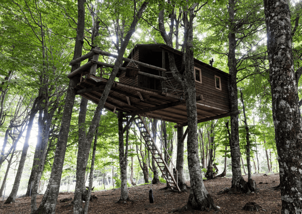 cabane perchée