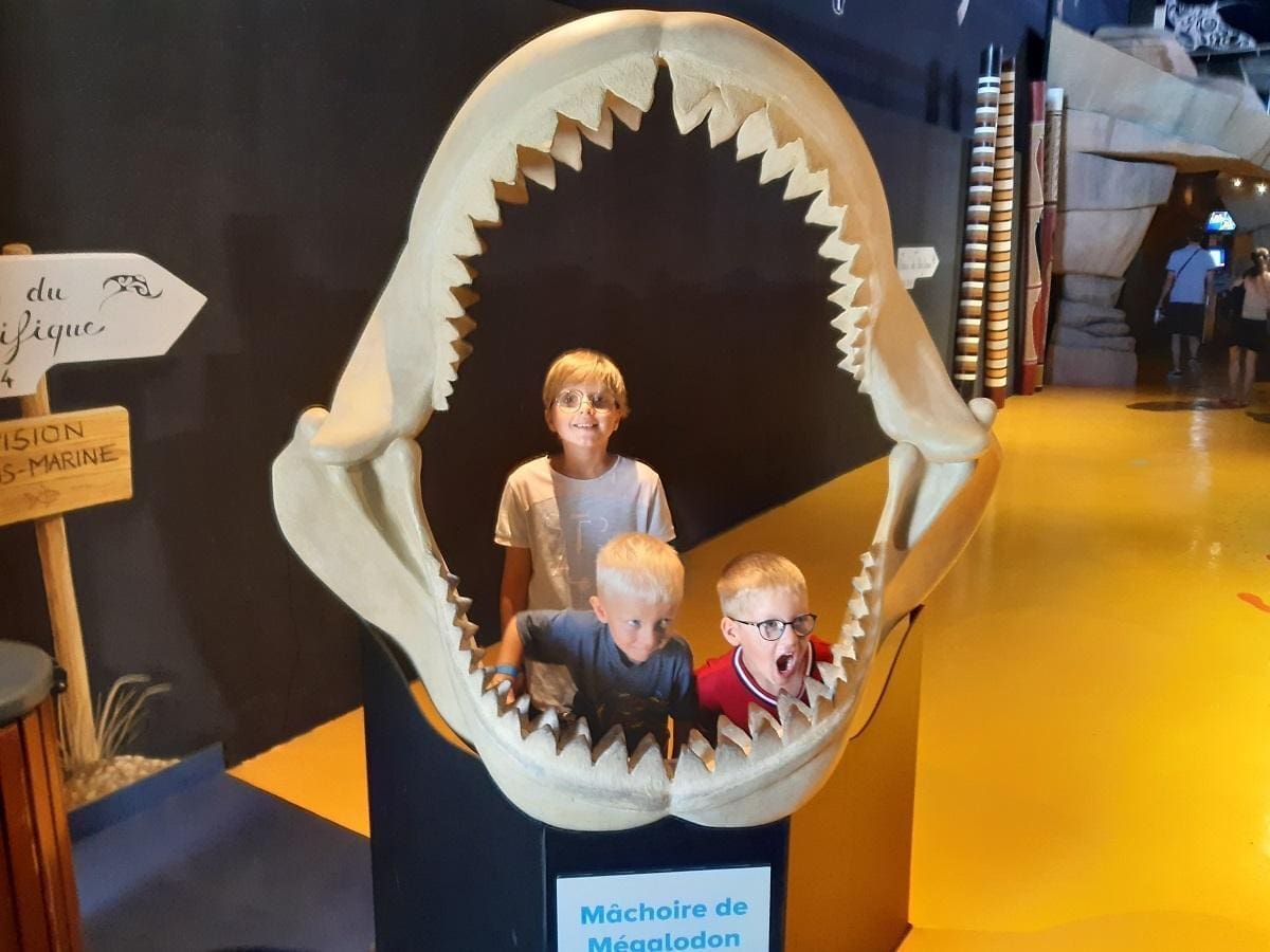découvrez l'océarium du croisic, un fascinant aquarium alliant biodiversité marine et expériences immersives. plongez au cœur des océans à travers des visites captivantes et apprenez-en davantage sur la conservation des espèces marines.