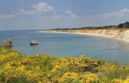 découvrez le guide complet de la mine de pénestin : histoire, visites, et secrets cachés. explorez ce site fascinant et plongez dans l'univers des mines bretonnes !