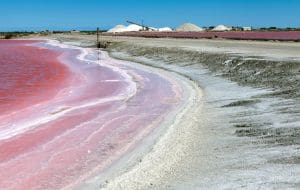 marais salants