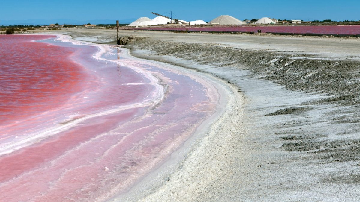marais salants