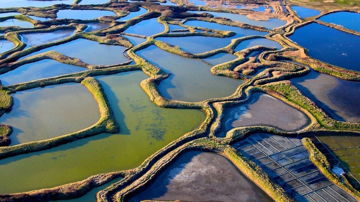 découvrez les marais salants de guérande, une merveille naturelle où tradition et savoir-faire se rencontrent. explorez les paysages pittoresques, apprenez le processus de récolte du sel et savourez des produits locaux authentiques lors de votre visite.