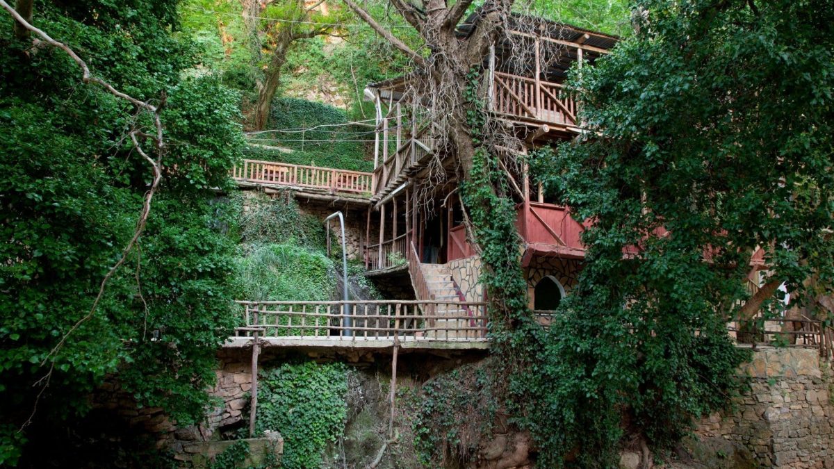 cabane dans les arbres