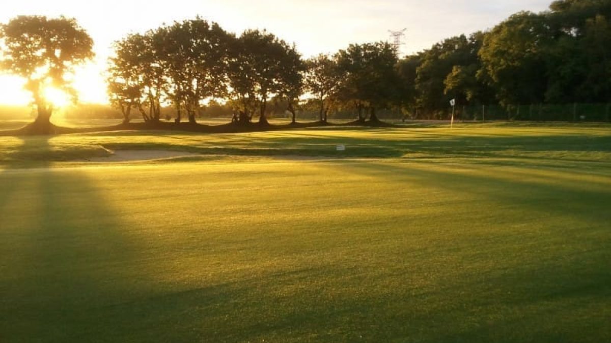 découvrez toutes les informations pratiques sur le golf de guérande : horaires d'ouverture, tarifs, équipements et services. préparez votre prochaine journée de golf dans un cadre exceptionnel en pleine nature.