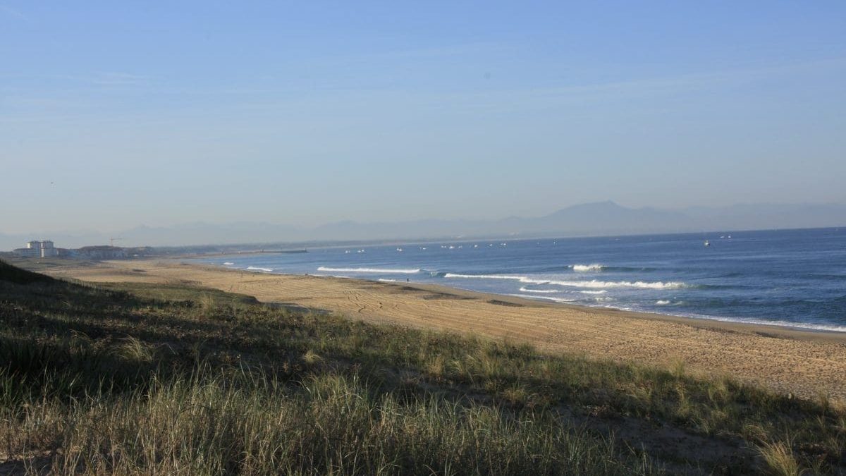 découvrez la beauté inexplorée de la côte sauvage, un paysage époustouflant où les falaises abruptes rencontrent l'océan turbulent. profitez de promenades à couper le souffle, d'un patrimoine naturel préservé et d'activités nautiques exaltantes dans un cadre exceptionnel. parfait pour les amoureux de la nature et les aventuriers en quête de sensations fortes.