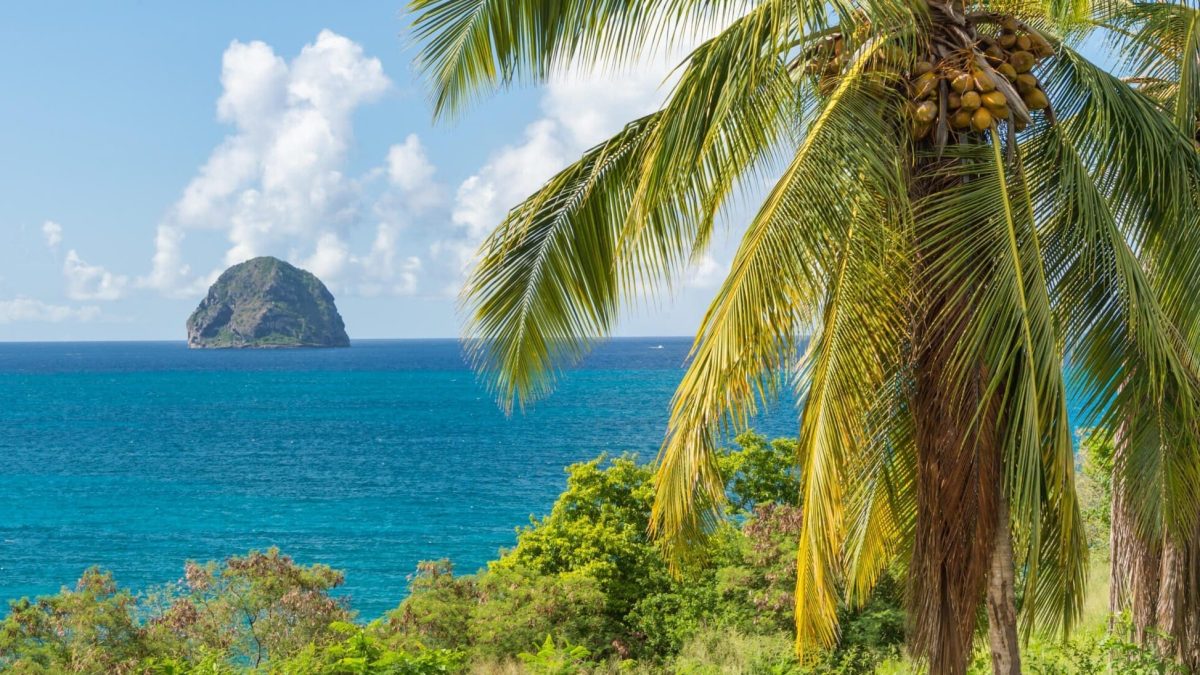 a-la-decouverte-de-la-martinique