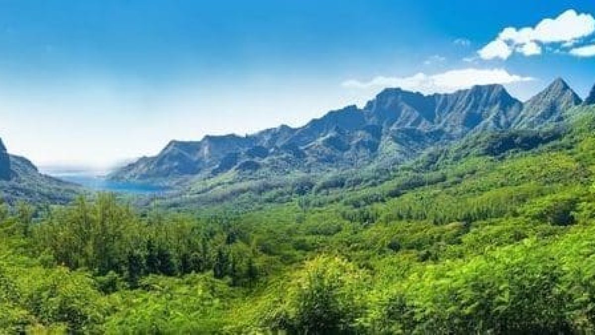 decouverte-de-la-polynesie