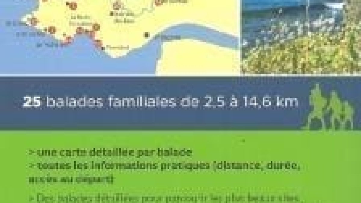 découvrez toutes les informations pratiques pour votre séjour à guérande : accès, hébergement, activités à ne pas manquer et conseils locaux pour profiter pleinement de cette charmante cité médiévale et de ses marais salants.