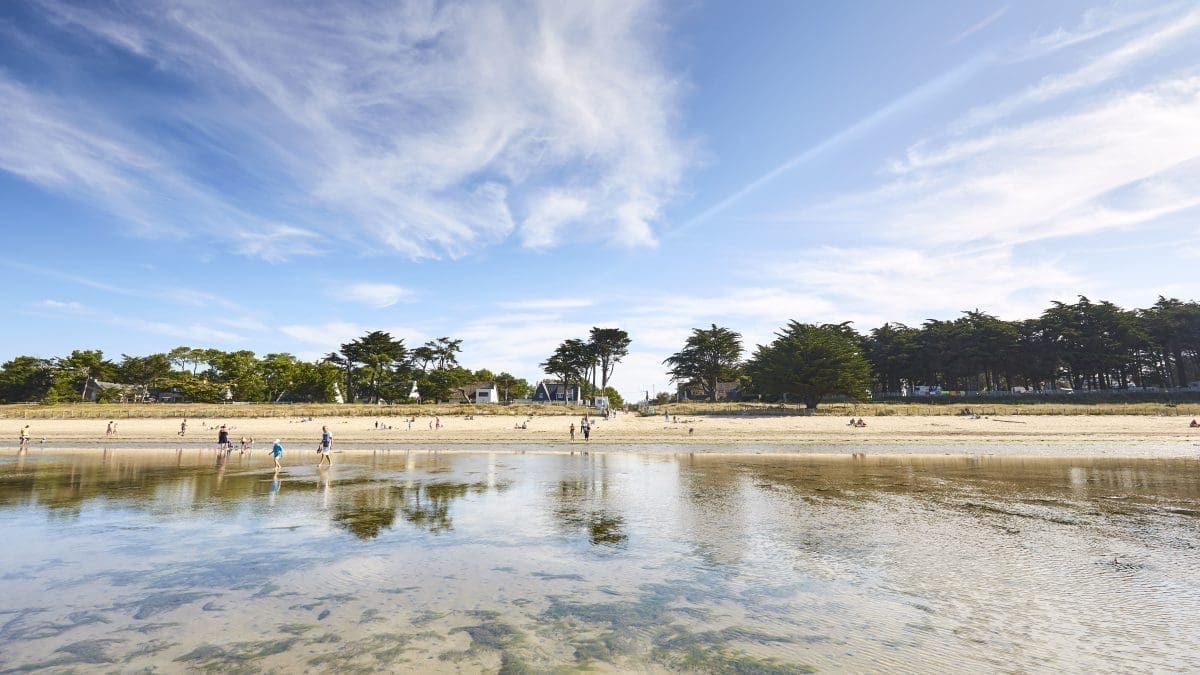 découvrez toutes les actualités, événements, bons plans et informations pratiques sur guérande. restez informé sur la vie locale, le patrimoine et les sorties à guérande.