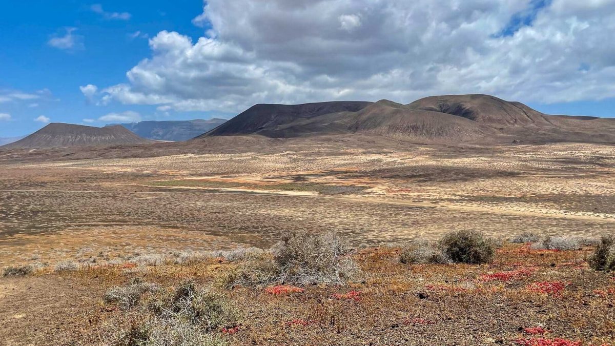 orzola-le-joyau-cache-de-lanzarote