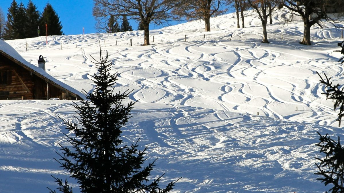 Partir en vacances à la dernière minute au ski depuis la Loire-Atlantique : comment s'y prendre ?