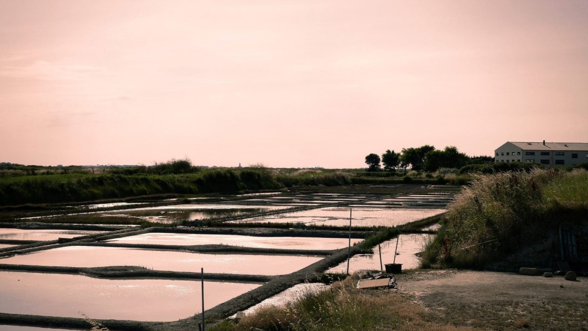 guerande