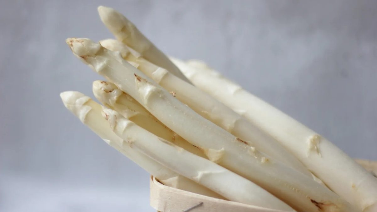 Bottes d'asperges vertes et blanches fraîchement cueillies posées côte à côte