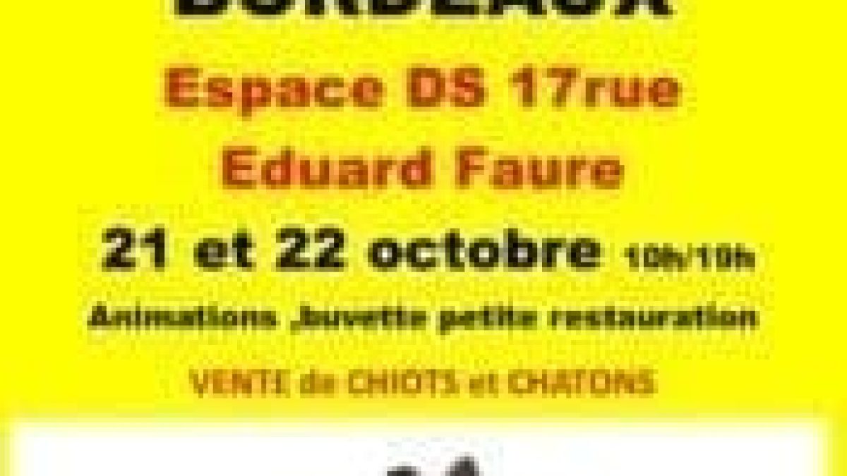 découvrez toutes les informations pratiques pour le salon du chiot à guérande 2024 : dates, horaires, lieu, et conseils pour bien préparer votre visite.